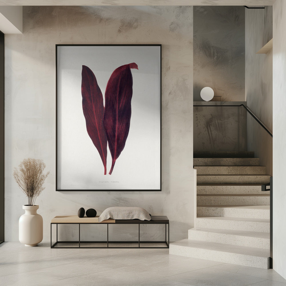 Pink Dracaena Ferrea Leaf Illustration | Poster