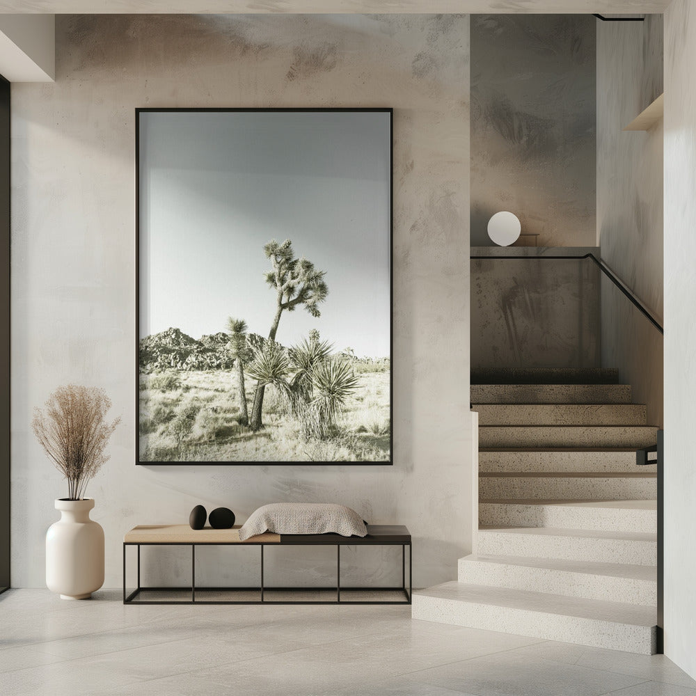Vintage impressie van Joshua Tree National Park | Poster