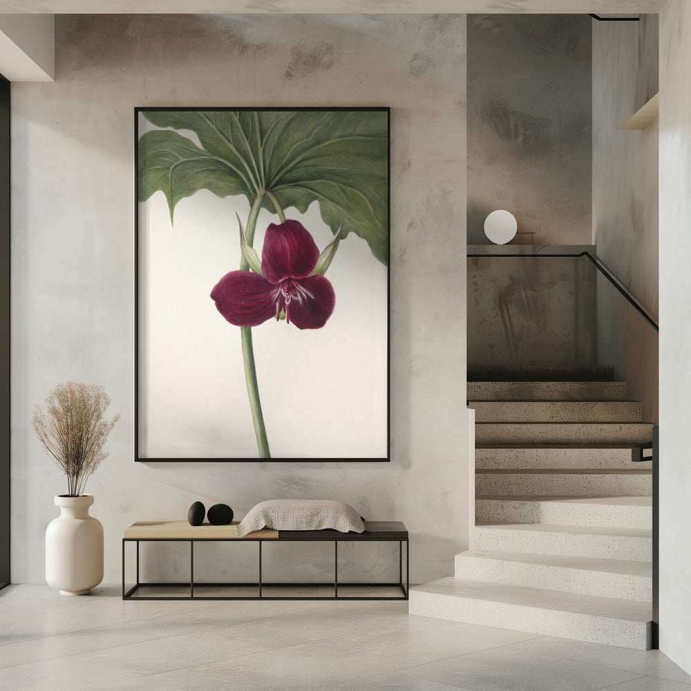 Zoete Trillium | Poster