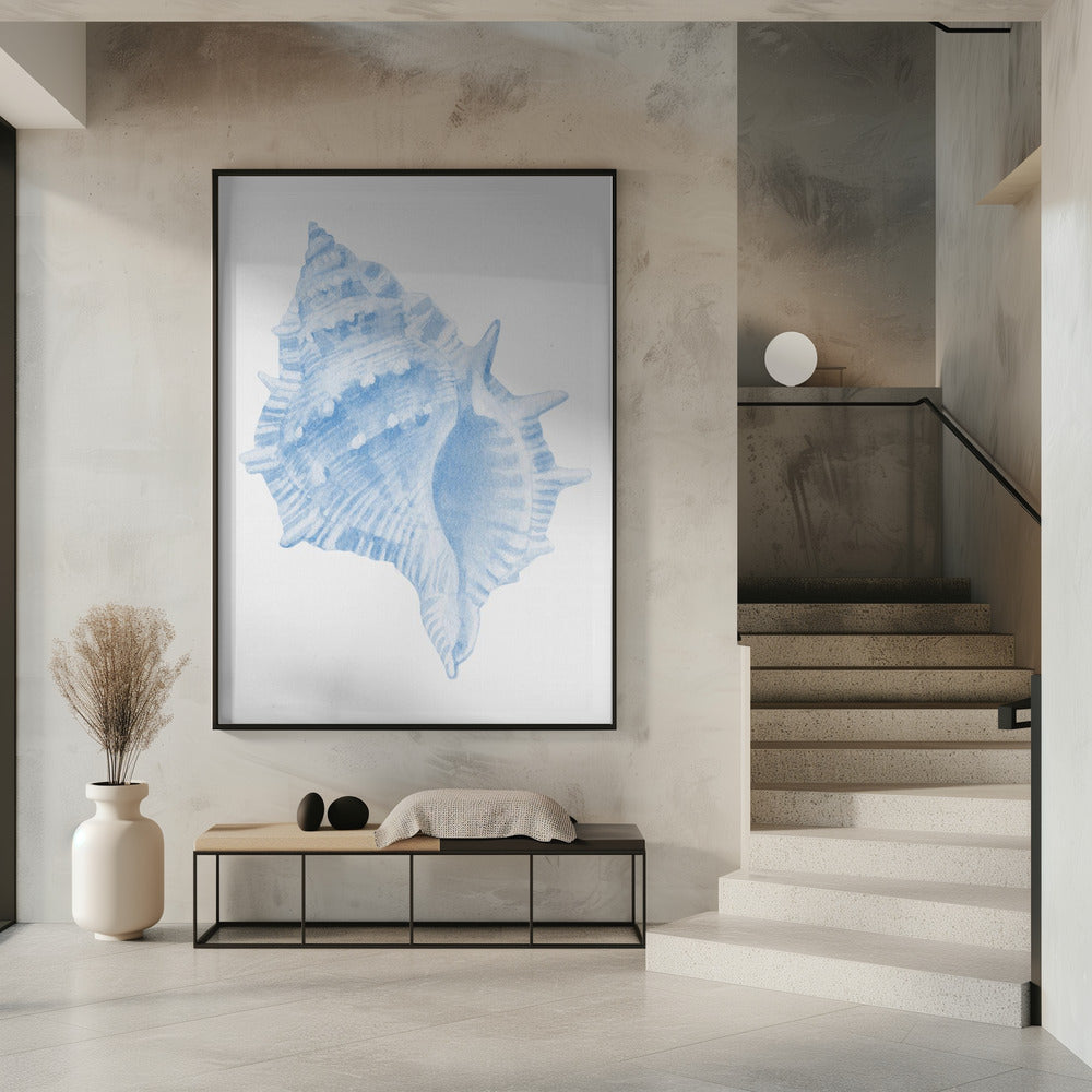 Een blauwe schelp | Poster