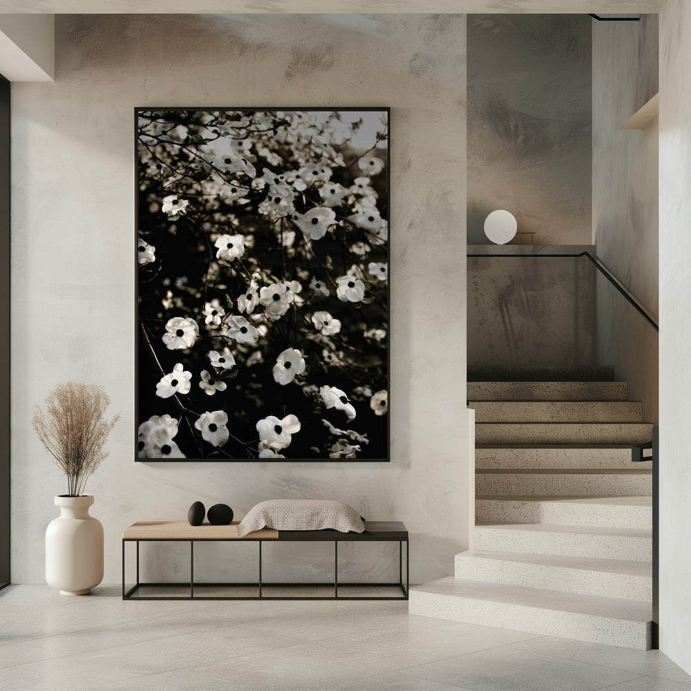 White Spring Tree 5 | Poster