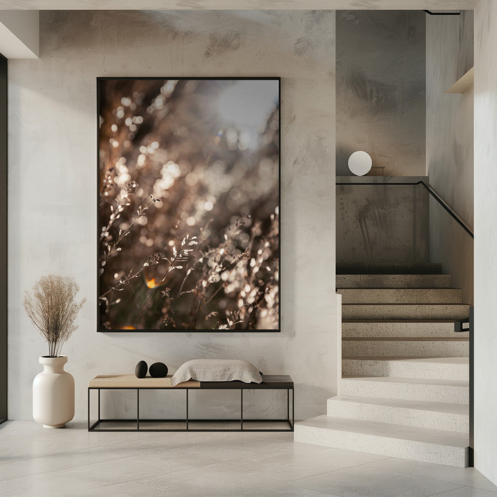 Warm Winter Light 6 | Poster