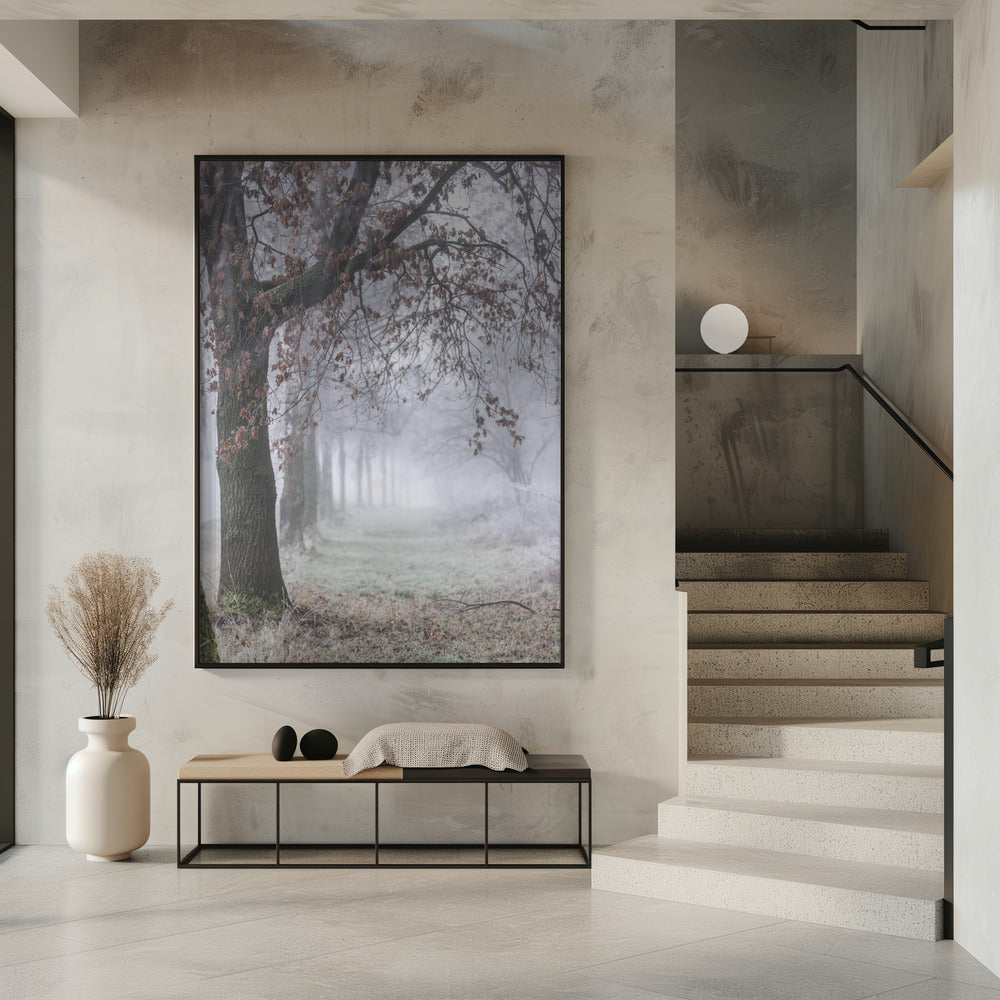 Mistige winterochtend 3 | Poster