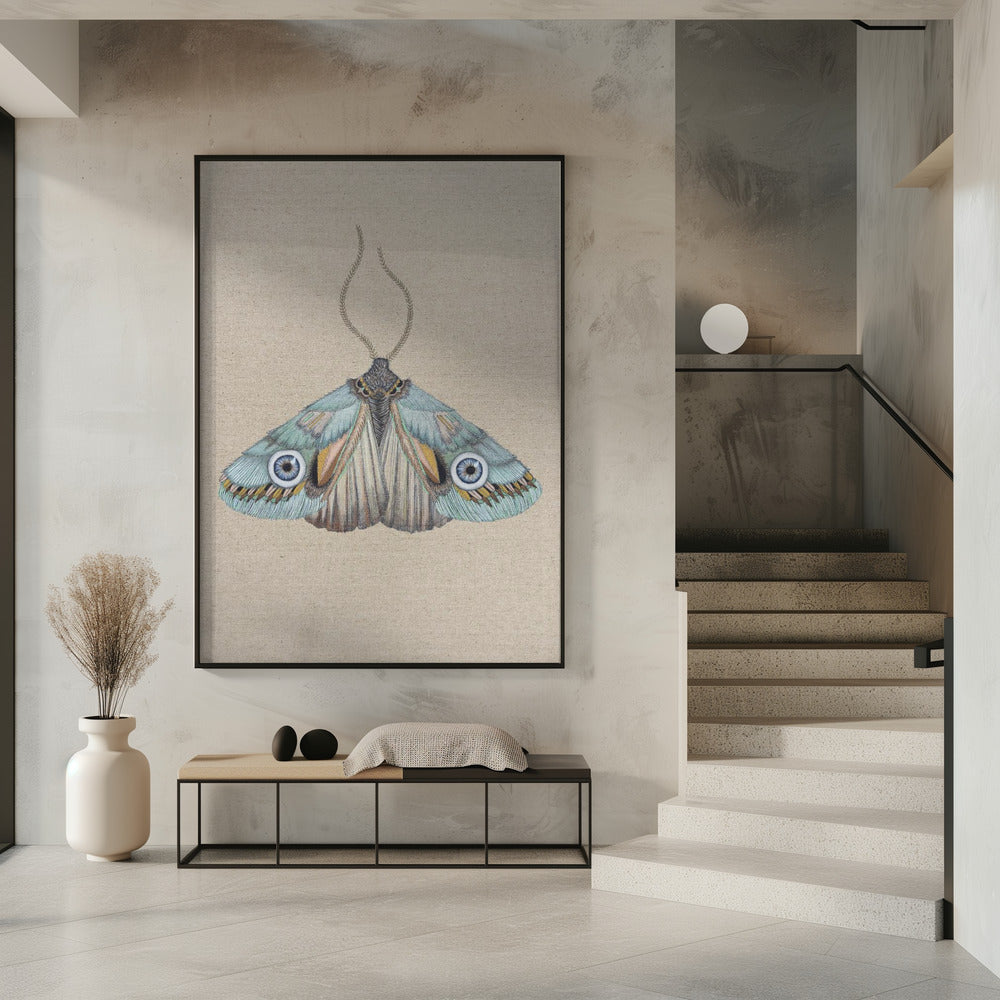 Moth | Poster