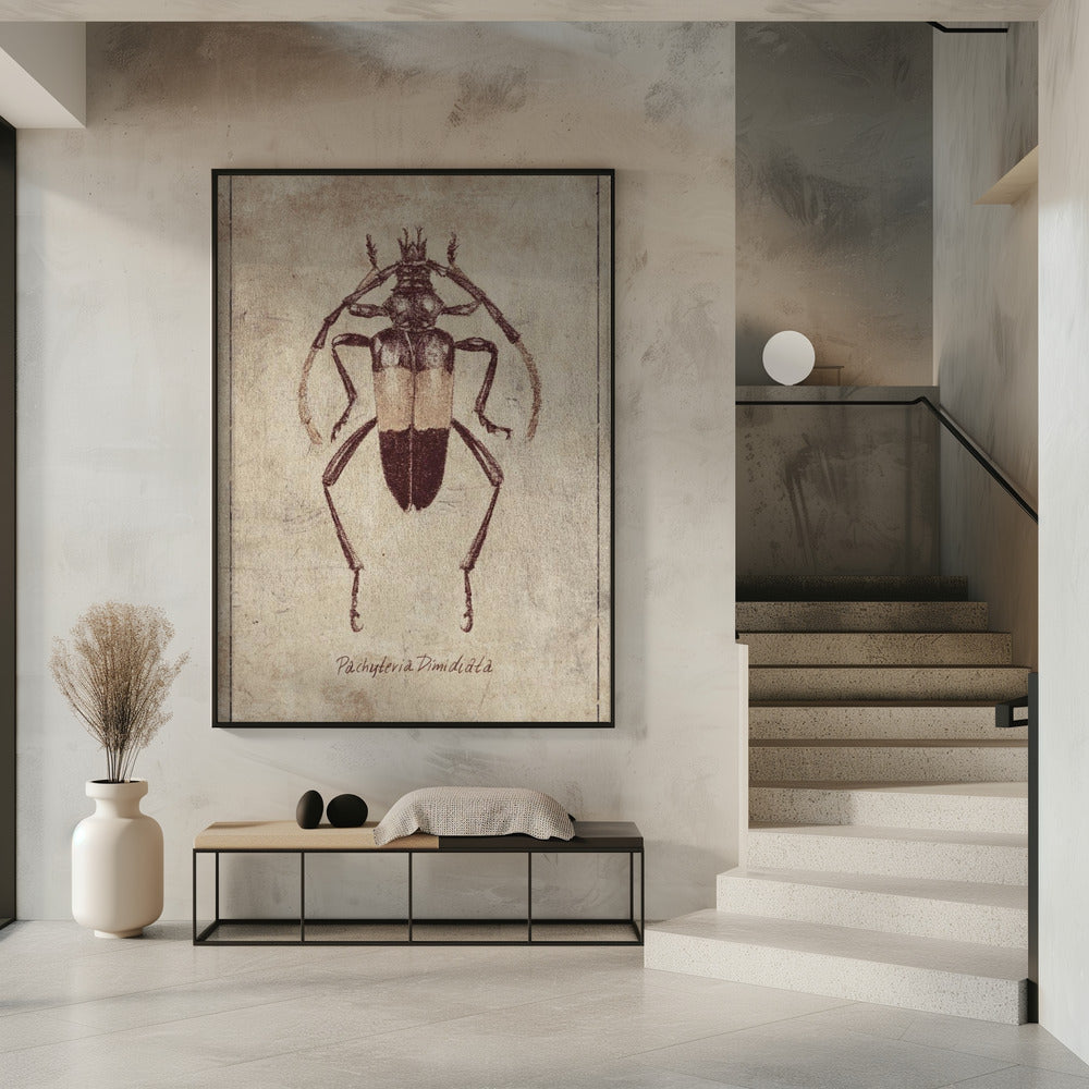 Vintage Insectenschets | Poster