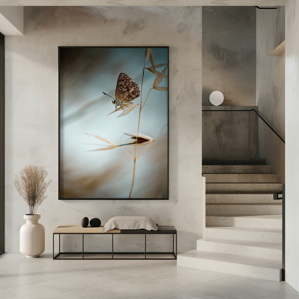 Droom in blauw | Poster