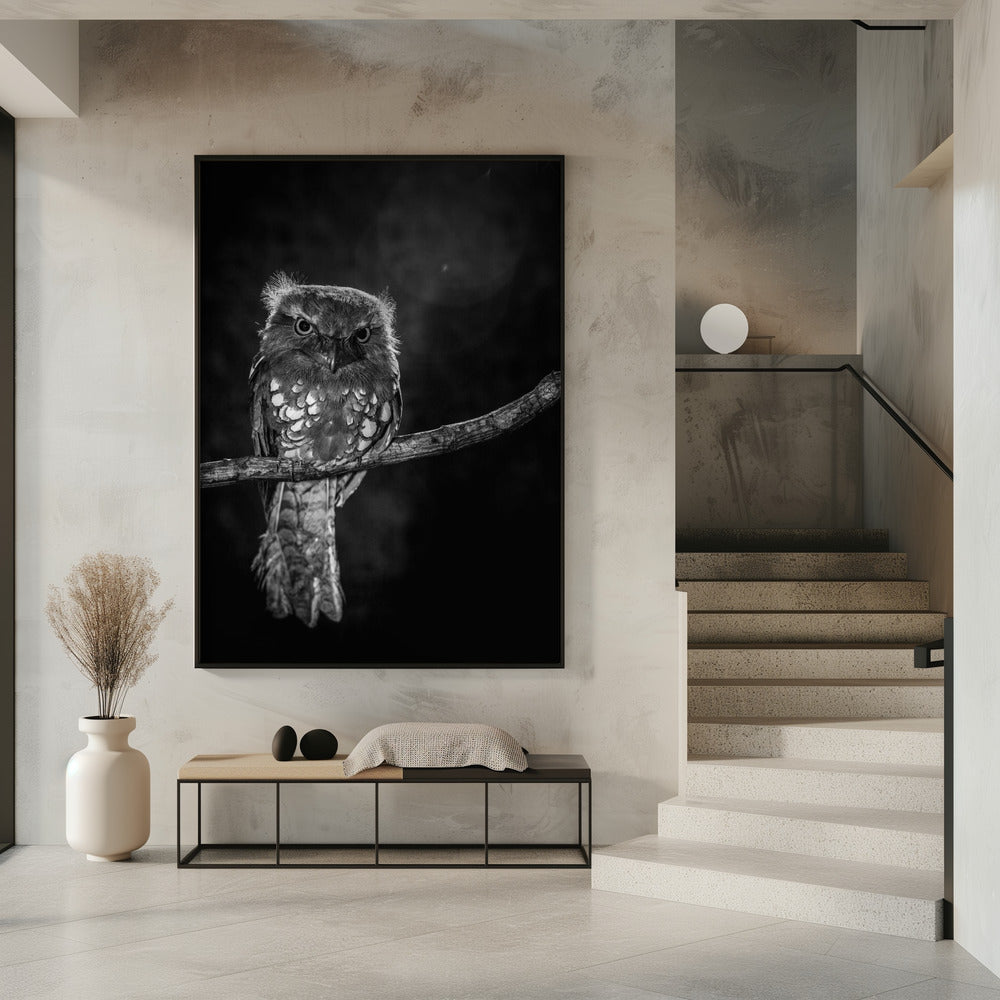 Alleen in de nacht | Poster