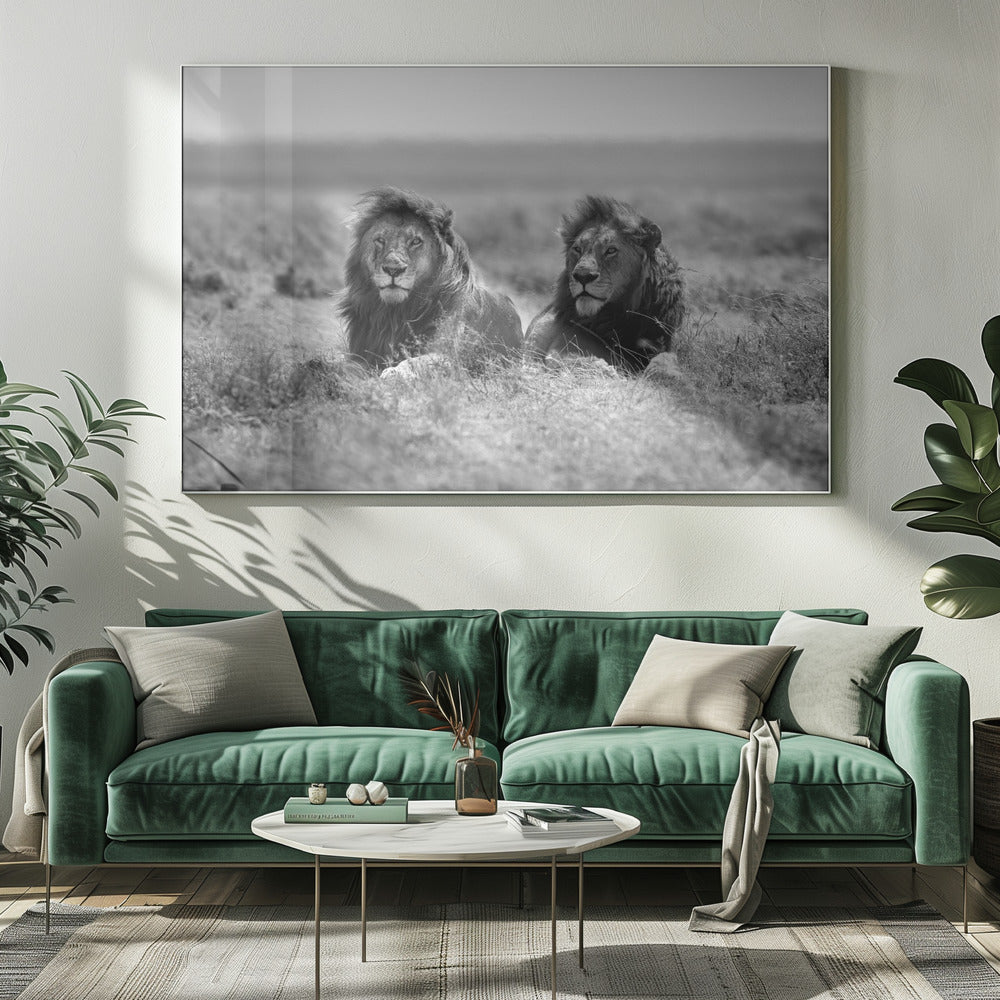 Twee koningen | Canvas