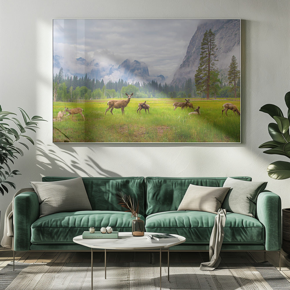 Een gevoel van vervlogen tijden | Canvas