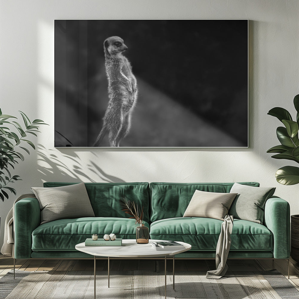 De stokstaartje | Canvas