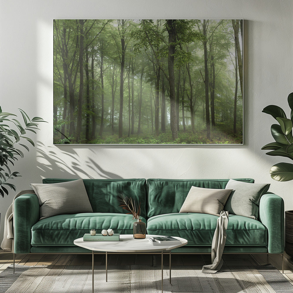 Bos... | Canvas