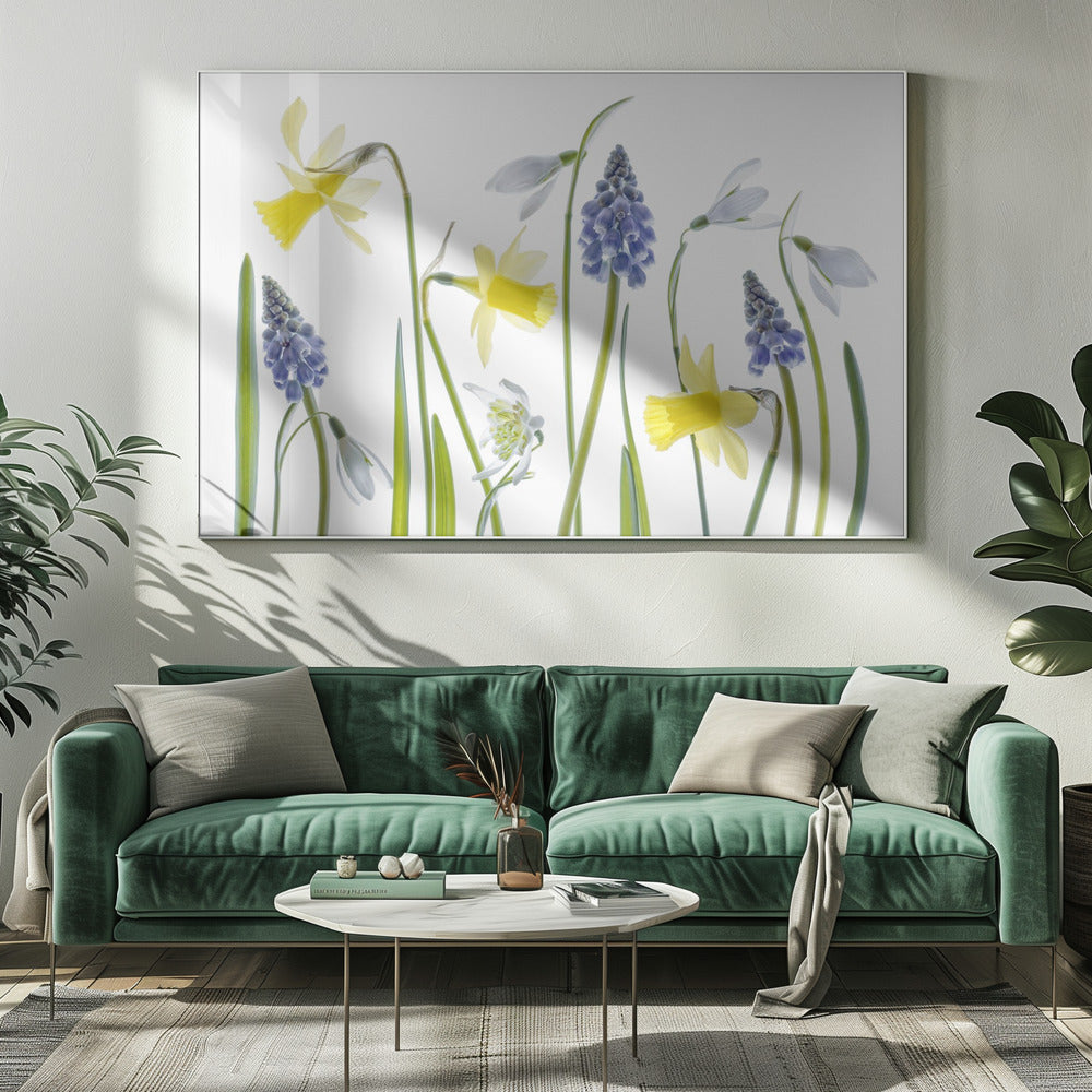 Lente | Canvas