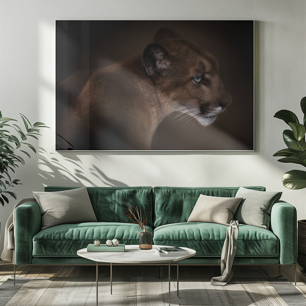 Puma | Canvas