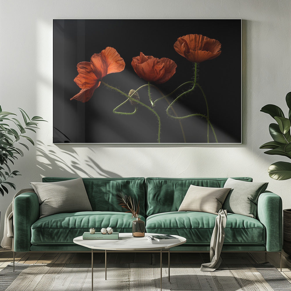 Rond middernacht #2 | Canvas
