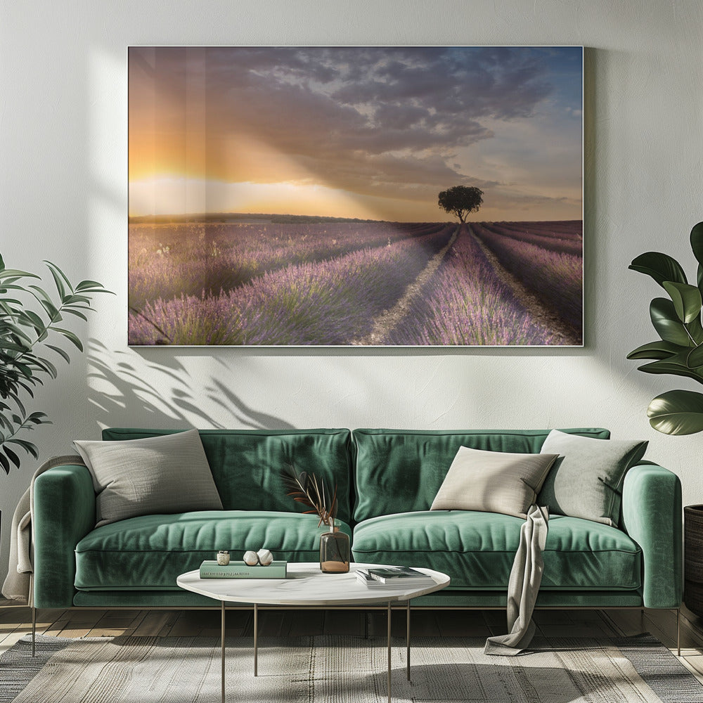 BESTEMMING LAVENDEL | Canvas