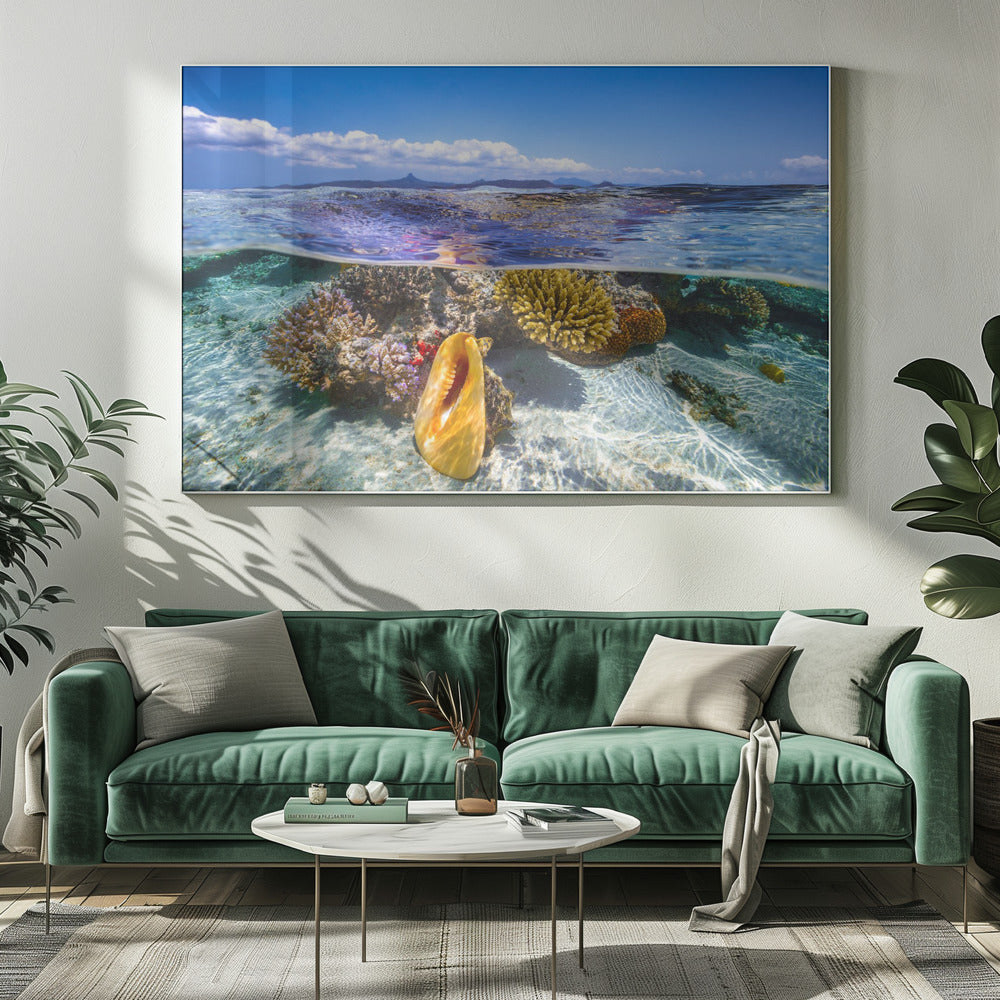 Laguneleven | Canvas
