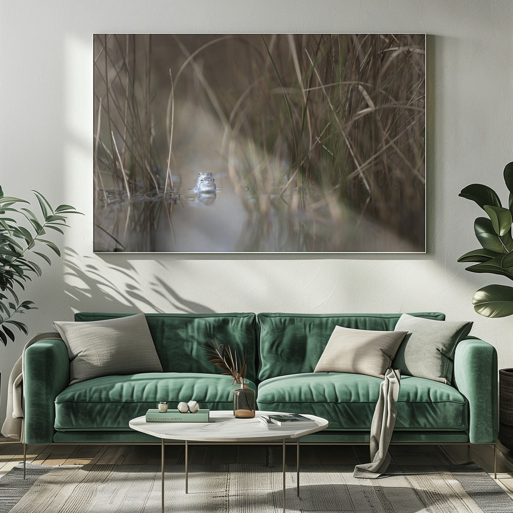 Two frogs | Canvas