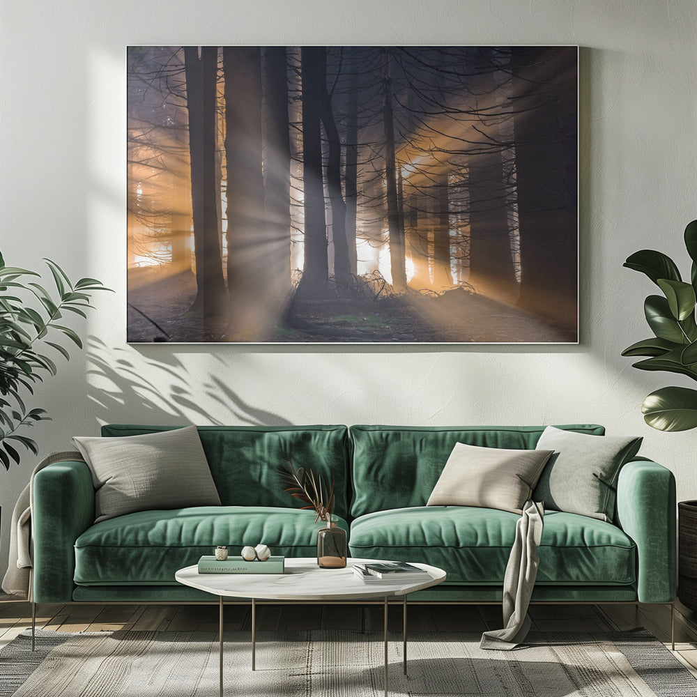 Bos | Canvas
