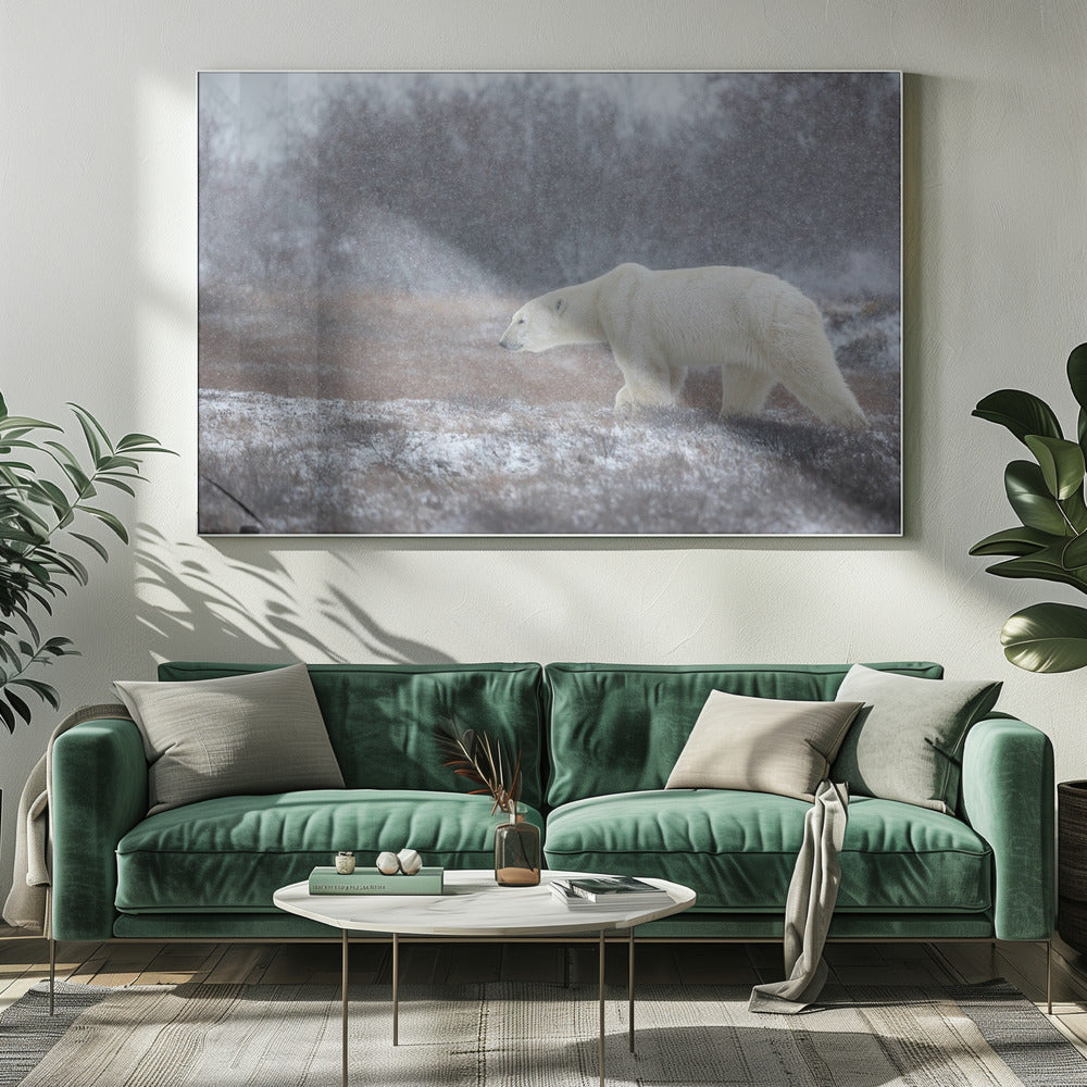 Laat het sneeuwen! | Canvas