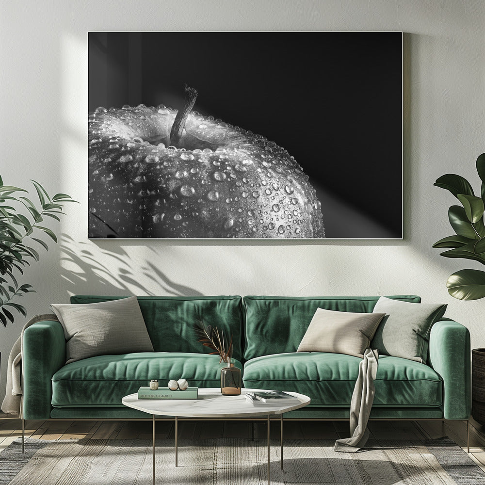 appel | Canvas
