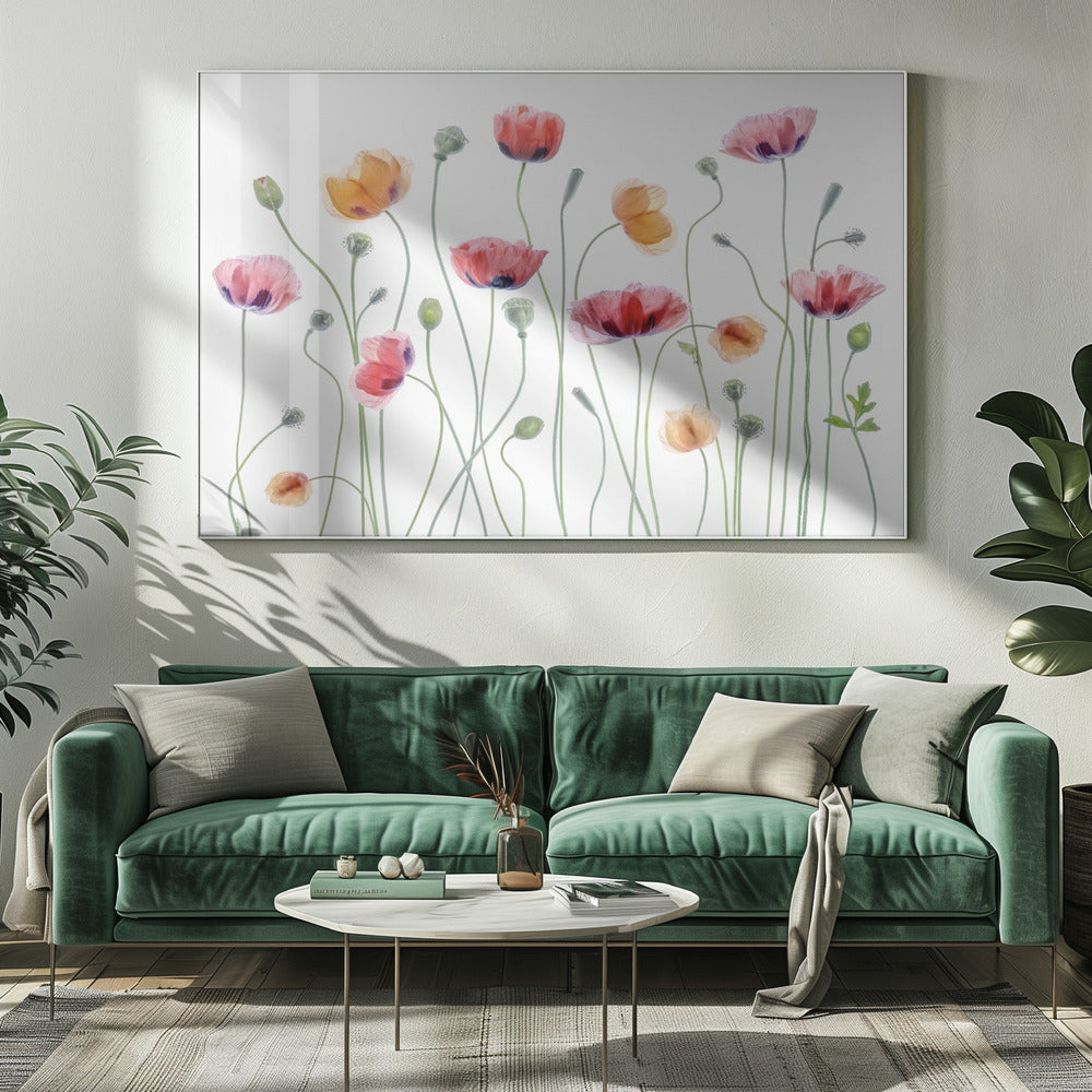 Papaverfeest | Canvas