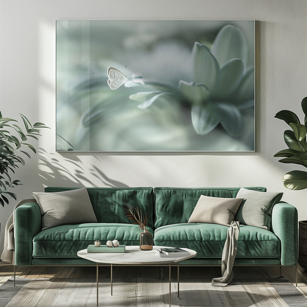 bola ajaib | Canvas