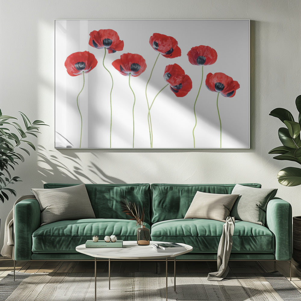 Lieveheersbeestjes Klaprozen | Canvas