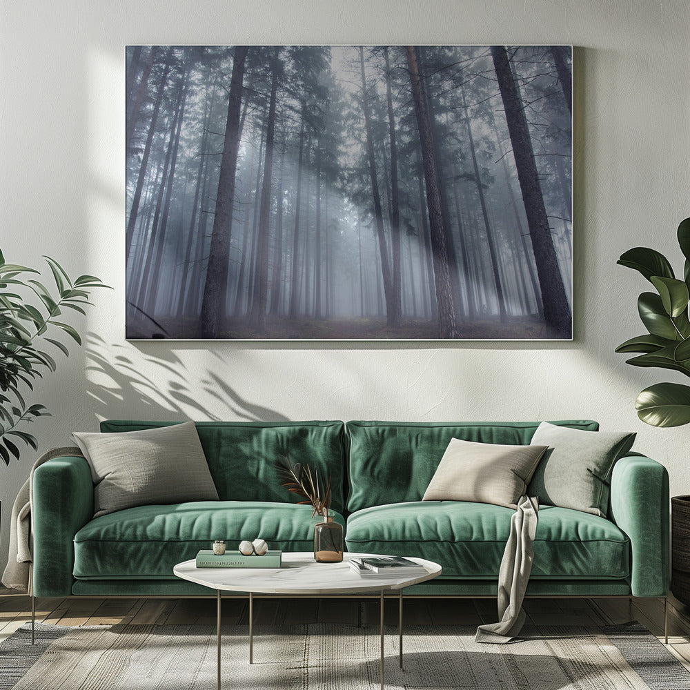 Mysterieus mistig bos. | Canvas