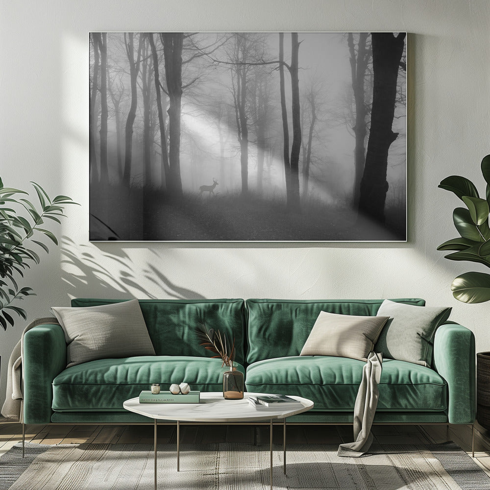 bos | Canvas