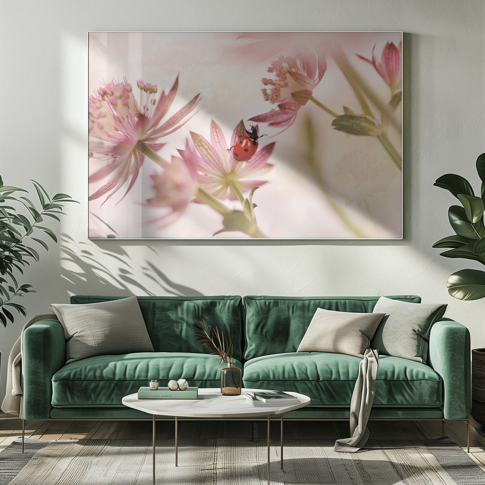 Lieveheersbeestje en roze bloemen | Canvas