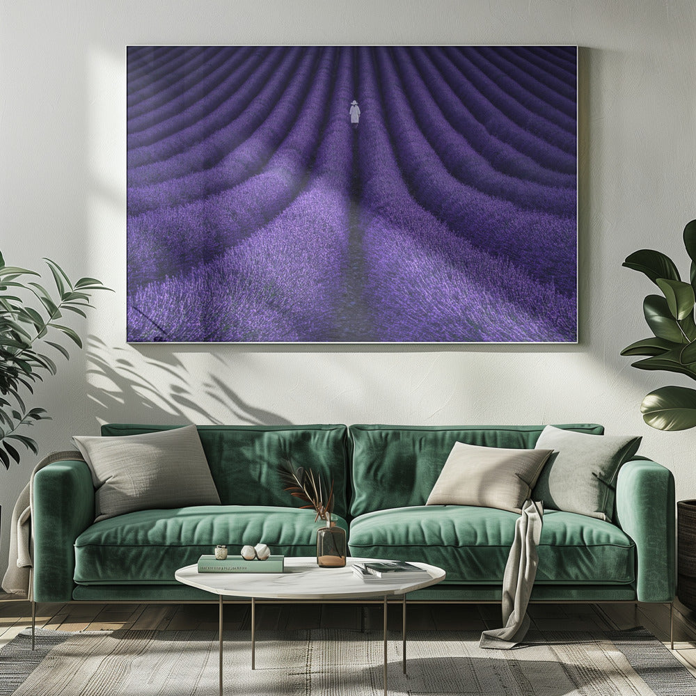 ZIJ | Canvas