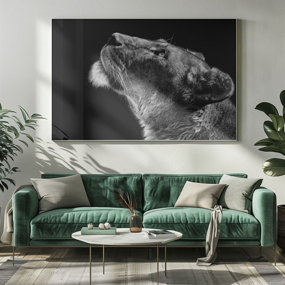 Omhoog kijken | Canvas