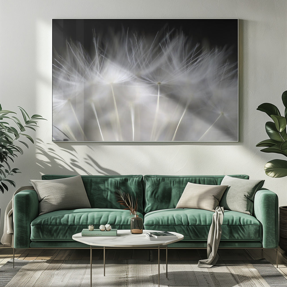 Blaas het op | Canvas