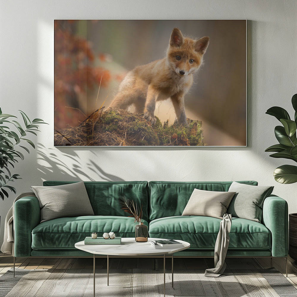 Vos | Canvas