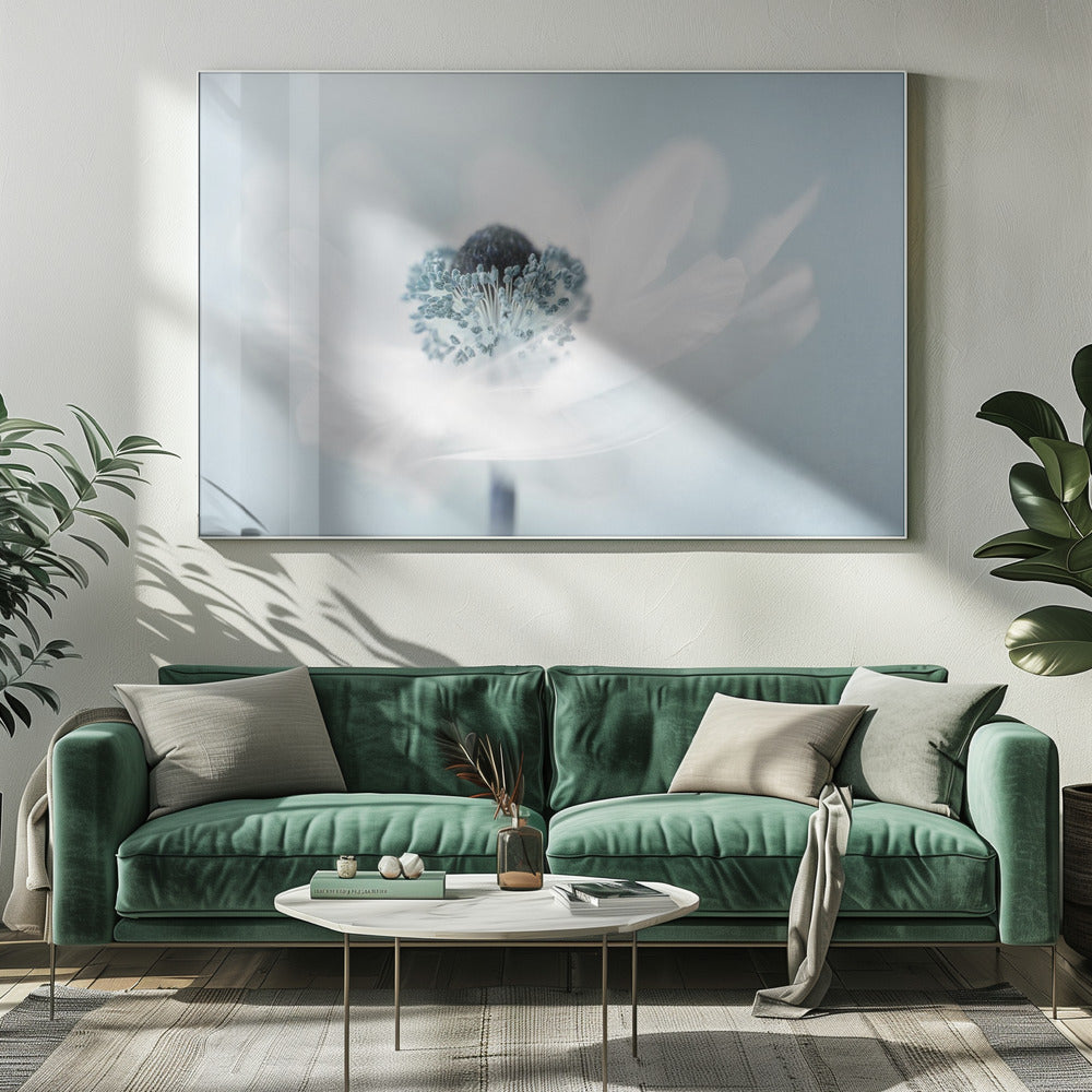 Suikerspin | Canvas