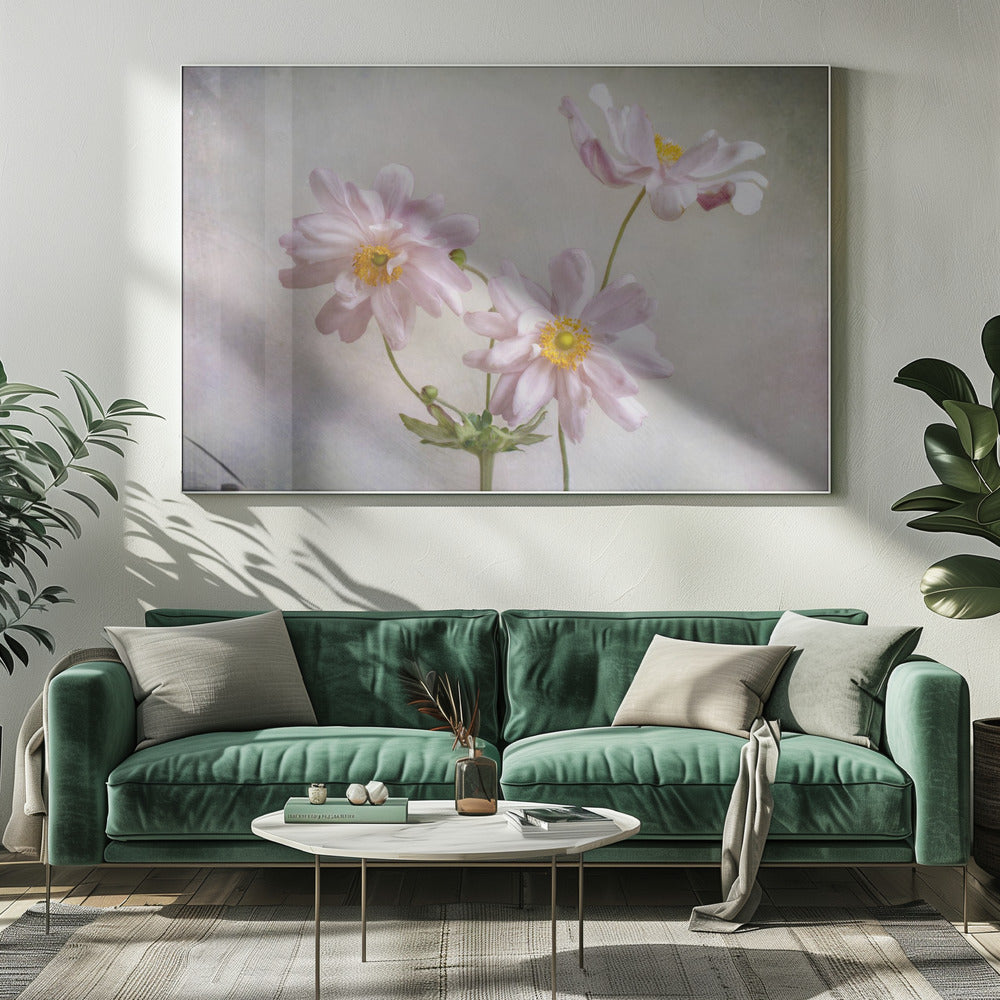 Anemonen | Canvas