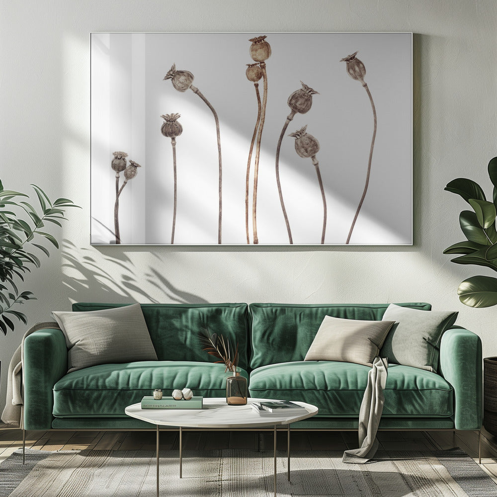 Klaprozen | Canvas