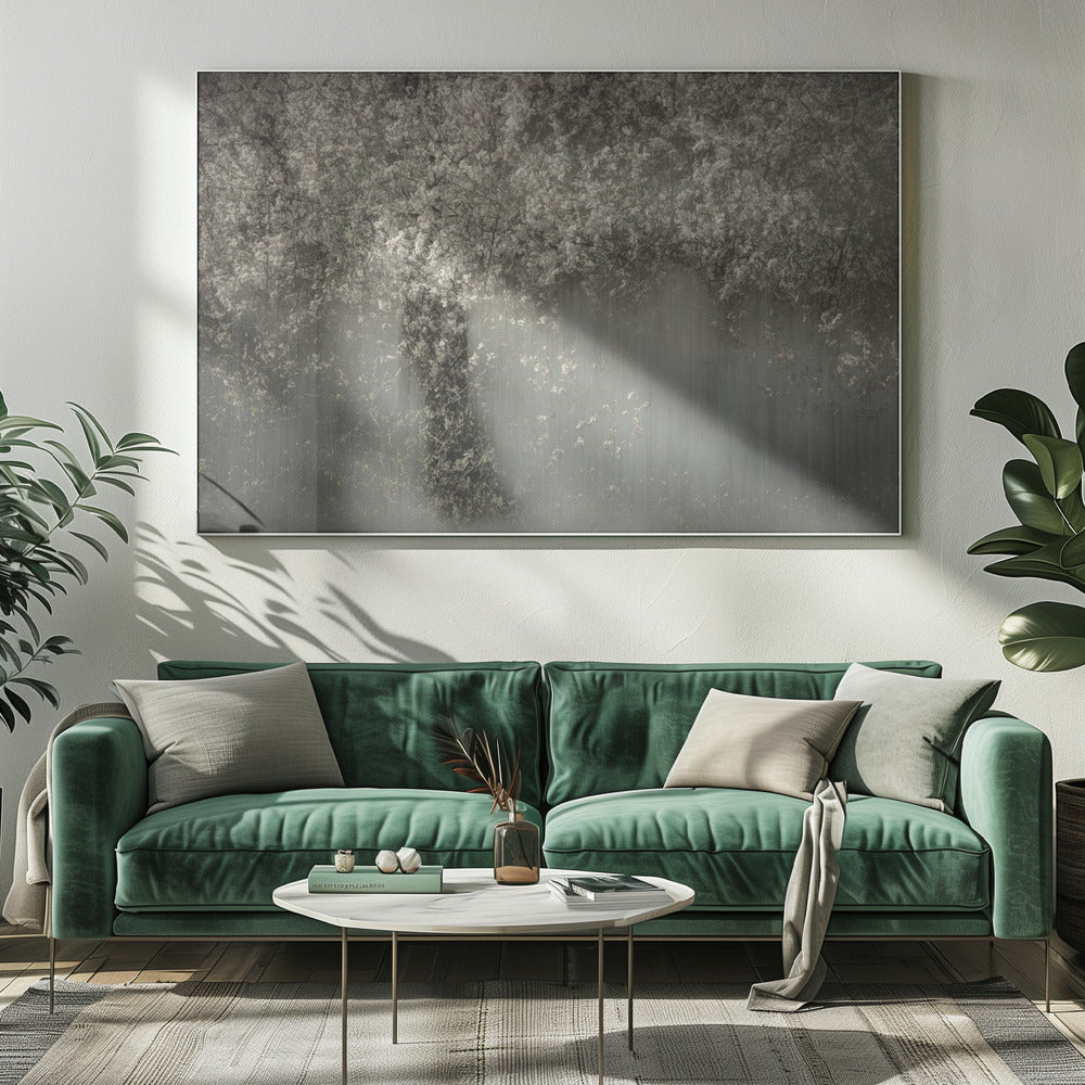 Witte bloesem | Canvas