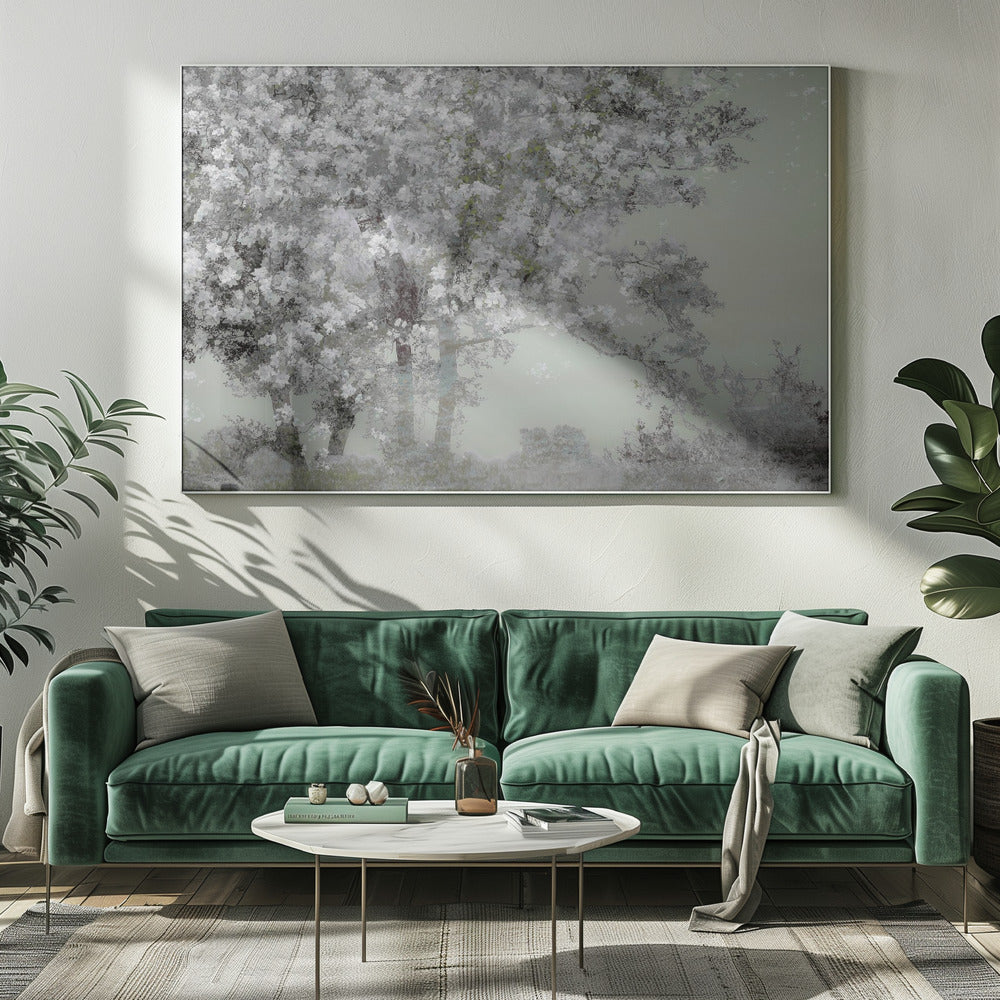 Lente | Canvas