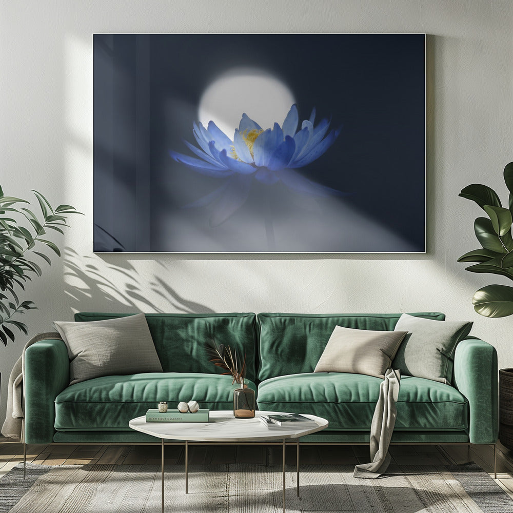 Vluchtige droom | Canvas