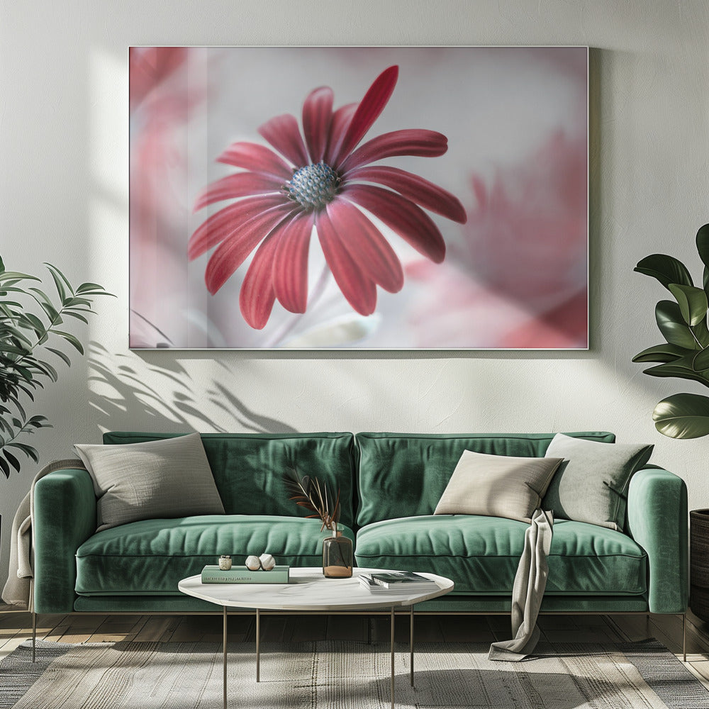 Madeliefje | Canvas