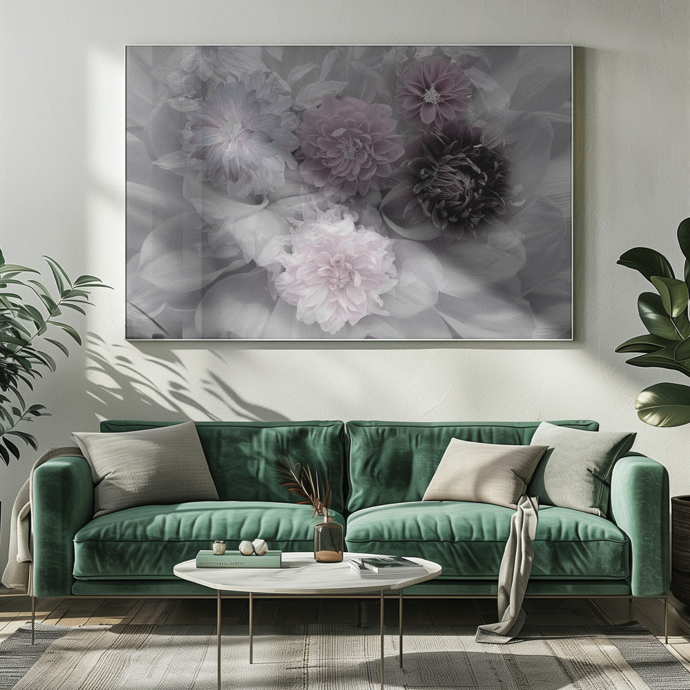 Dahlia droom | Canvas