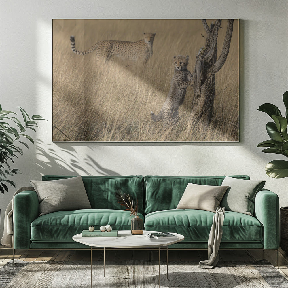 I've Got it Mum | Canvas