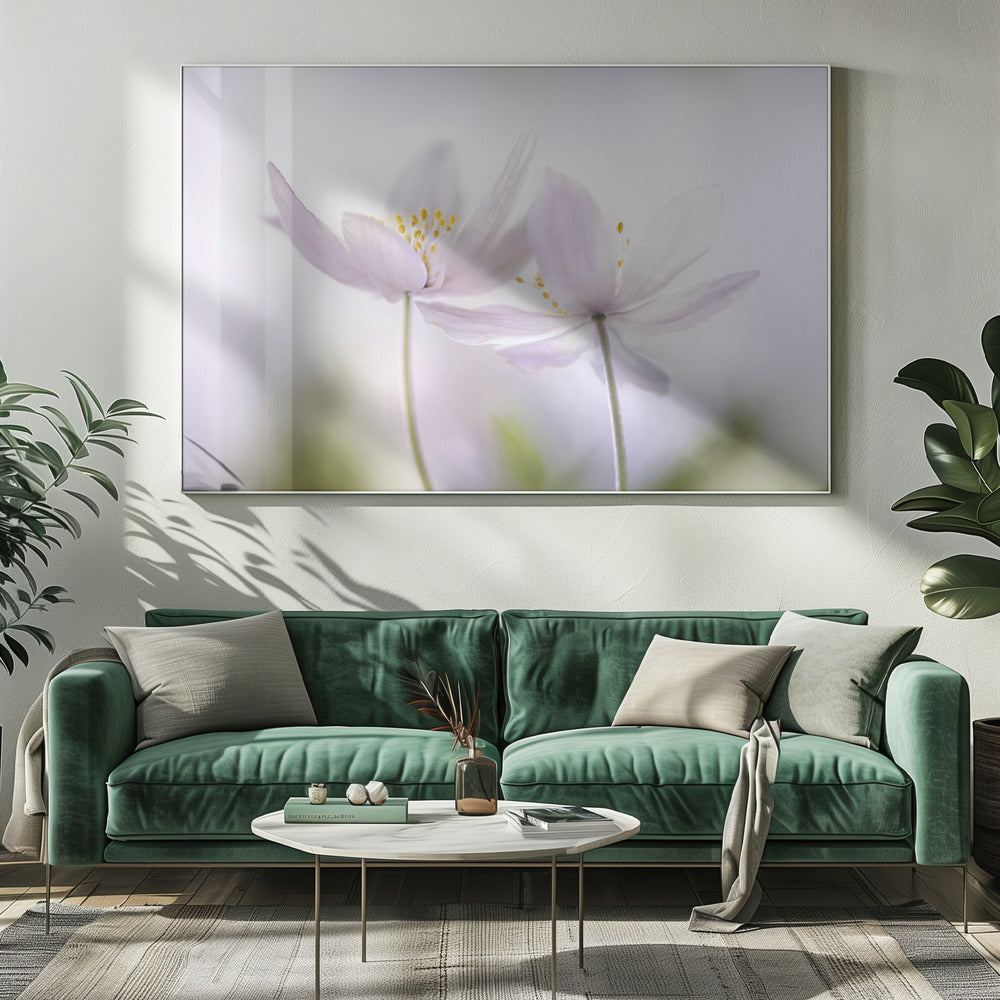 ~Nemorosa~ | Canvas