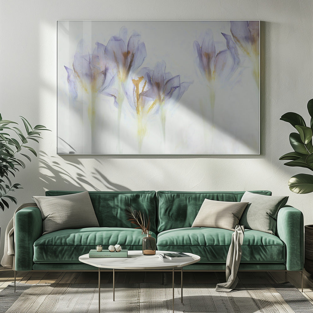 Lente | Canvas