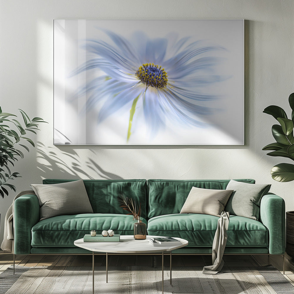 Madeliefjesgenot | Canvas