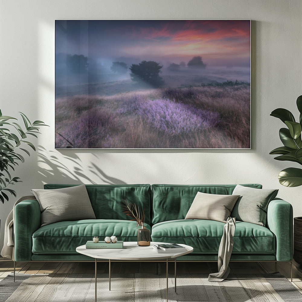 "de kleuren van heide" | Canvas
