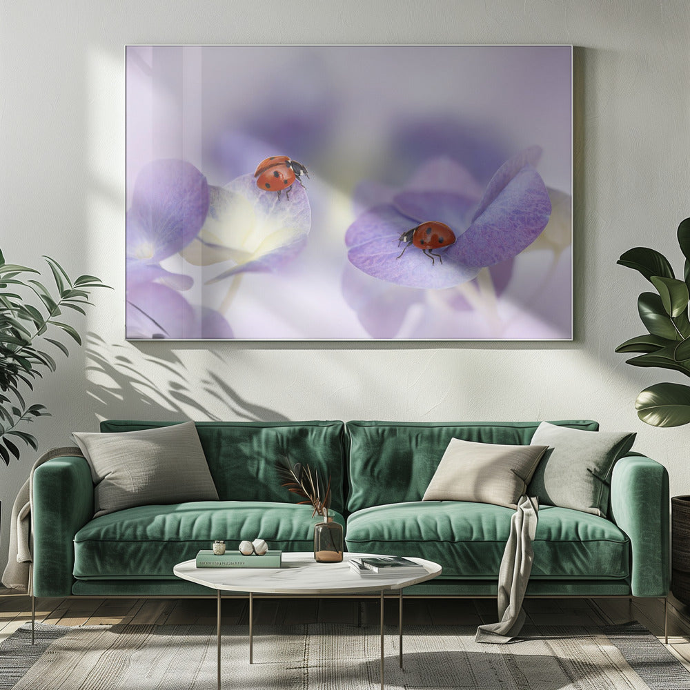 Rood en paars | Canvas