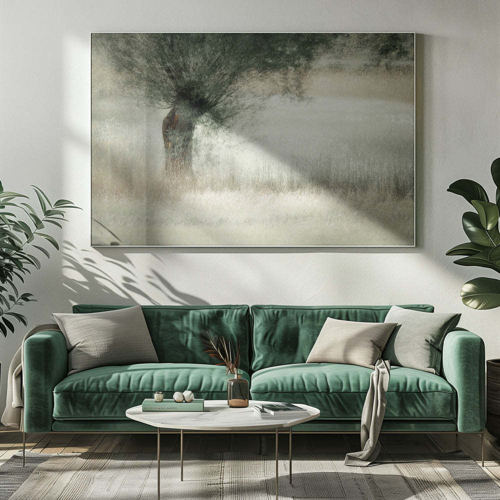 Wilg | Canvas