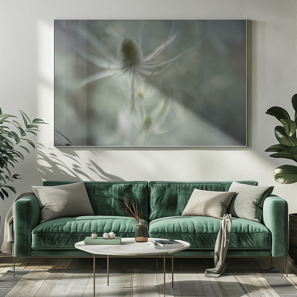 Kaardebol | Canvas